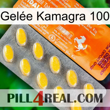 Gelée Kamagra 100 new05